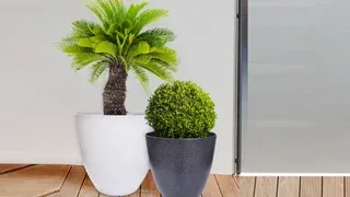 Kertészeti kellékek